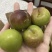 四川李子精品茵红李子脱骨李子产地直供量大从优