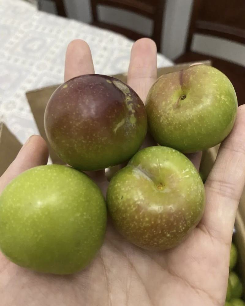 四川李子精品茵红李子脱骨李子产地直供量大从优