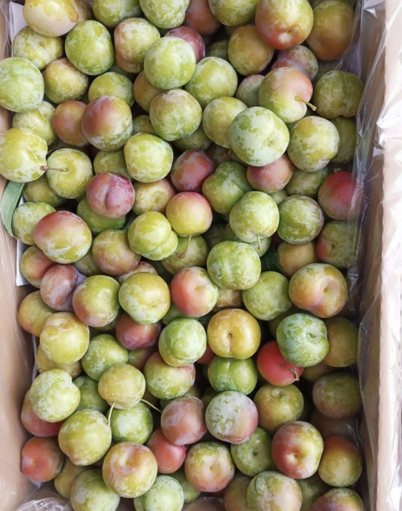 四川李子精品茵红李子脱骨李子产地直供量大从优