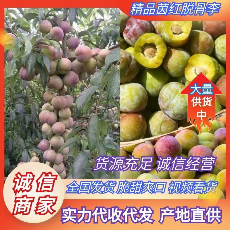 四川李子精品茵红李子脱骨李子产地直供量大从优