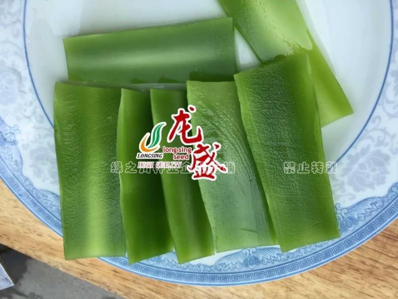 三青尖叶莴笋种子耐寒莴笋种子青皮青肉香莴笋莴苣种子