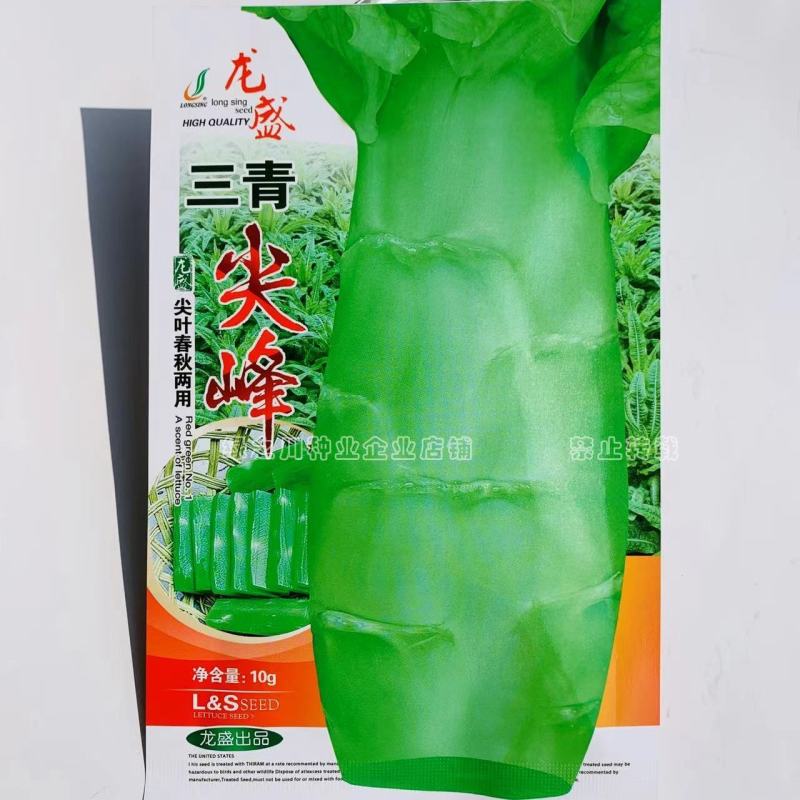 三青尖叶莴笋种子耐寒莴笋种子青皮青肉香莴笋莴苣种子