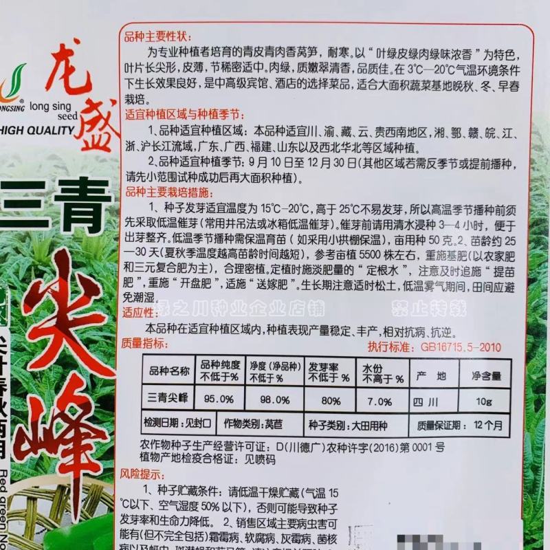 三青尖叶莴笋种子耐寒莴笋种子青皮青肉香莴笋莴苣种子