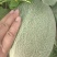 新疆哈密瓜