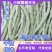 绥中白不老豆角大地货,直供电商市场食堂,保质保量全国发货
