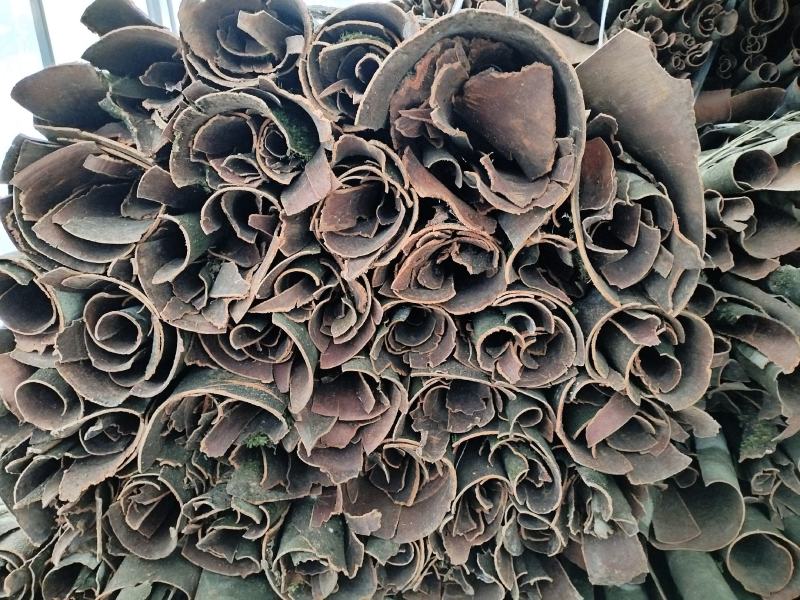 恩施桂皮鄂西大山深处老树桂皮富硒调味品健康无硫