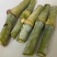 皇竹草种节草种子台湾新型甜象草3号种节多年生四季巨菌草红