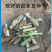 皇竹草种节草种子台湾新型甜象草3号种节多年生四季巨菌草红