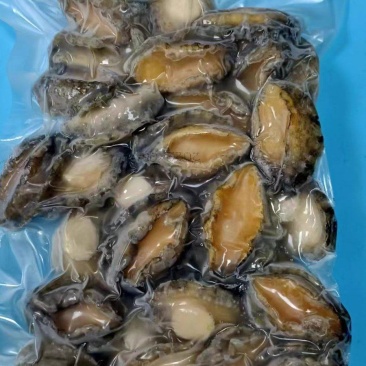 鲍鱼肉500g熟冻去壳去内脏高档食材规格齐全捞汁烧烤食材