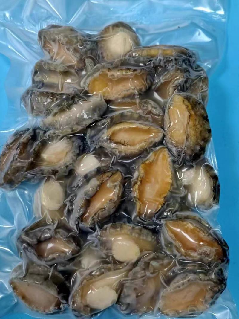 鲍鱼肉500g熟冻去壳去内脏高档食材规格齐全捞汁烧烤食材