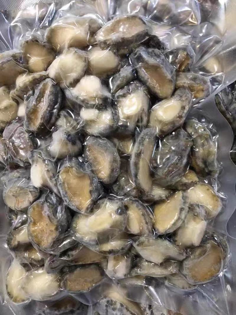鲍鱼肉500g熟冻去壳去内脏高档食材规格齐全捞汁烧烤食材