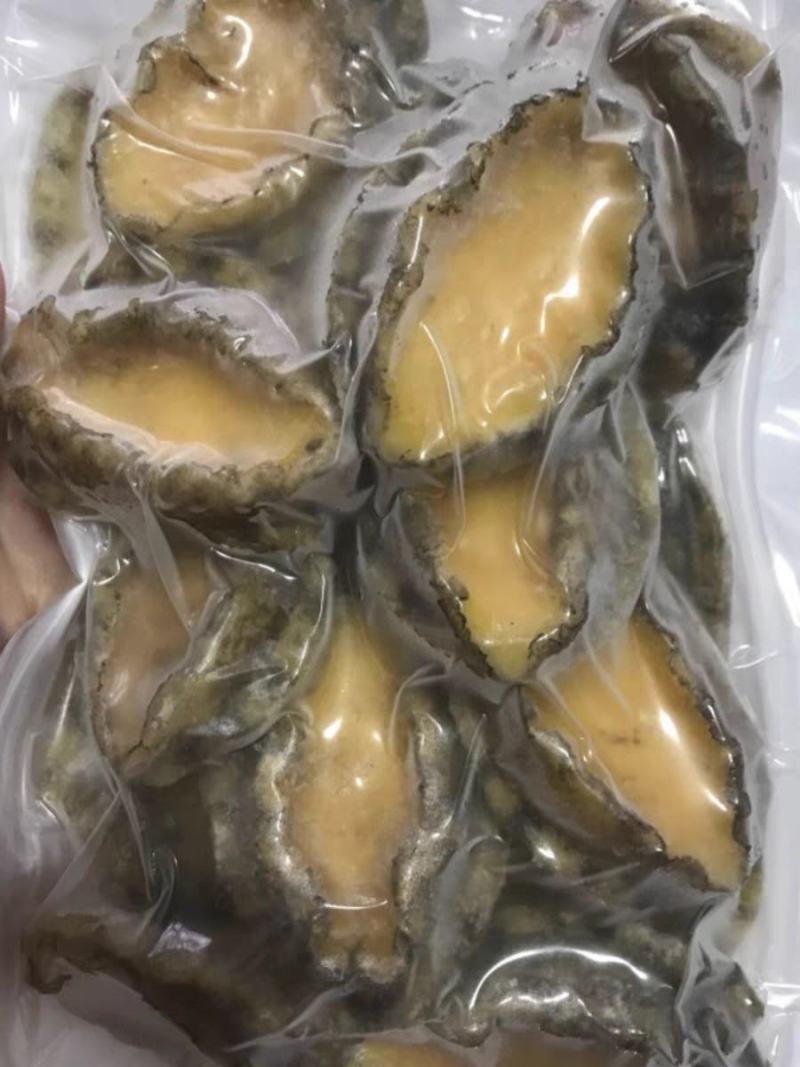 鲍鱼肉500g熟冻去壳去内脏高档食材规格齐全捞汁烧烤食材