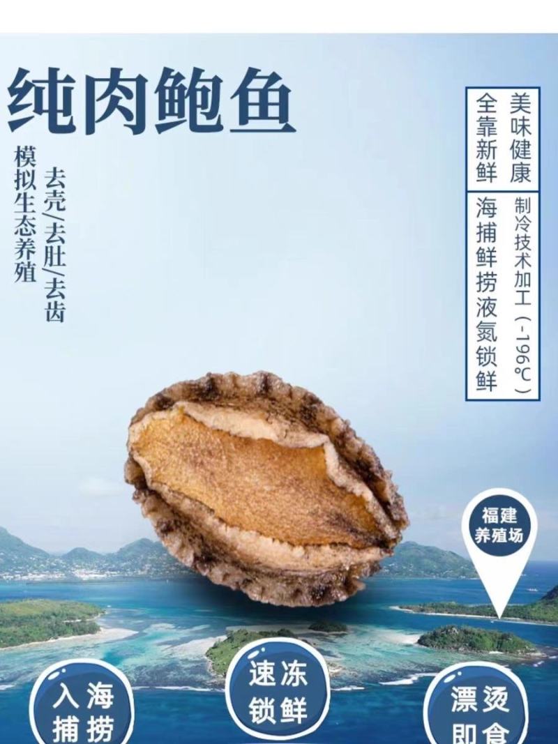 鲍鱼肉500g熟冻去壳去内脏高档食材规格齐全捞汁烧烤食材