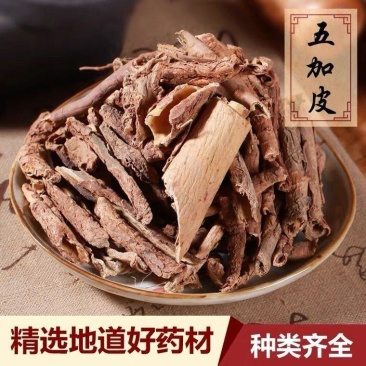 五加皮野生中药材店铺正宗五加皮滋补中草药泡酒地骨皮干货