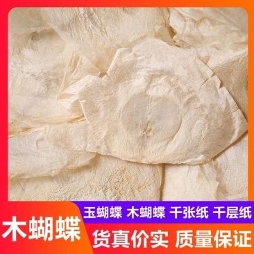 正品木蝴蝶中药材正宗新货木蝴蝶千张纸千层纸新鲜自然晒干批