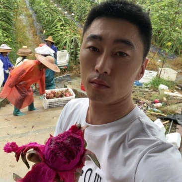 广西红心火龙果，基地直发，可一件代发，品质保证，量大从优