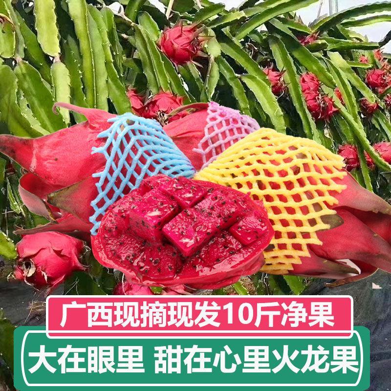 广西红心火龙果，基地直发，可一件代发，品质保证，量大从优