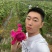 广西红心火龙果，基地直发，可一件代发，品质保证，量大从优