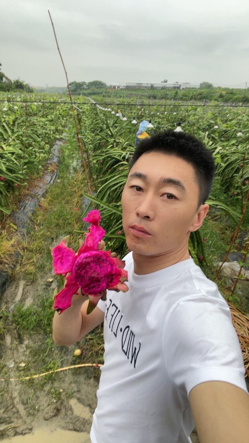 广西红心火龙果，基地直发，可一件代发，品质保证，量大从优