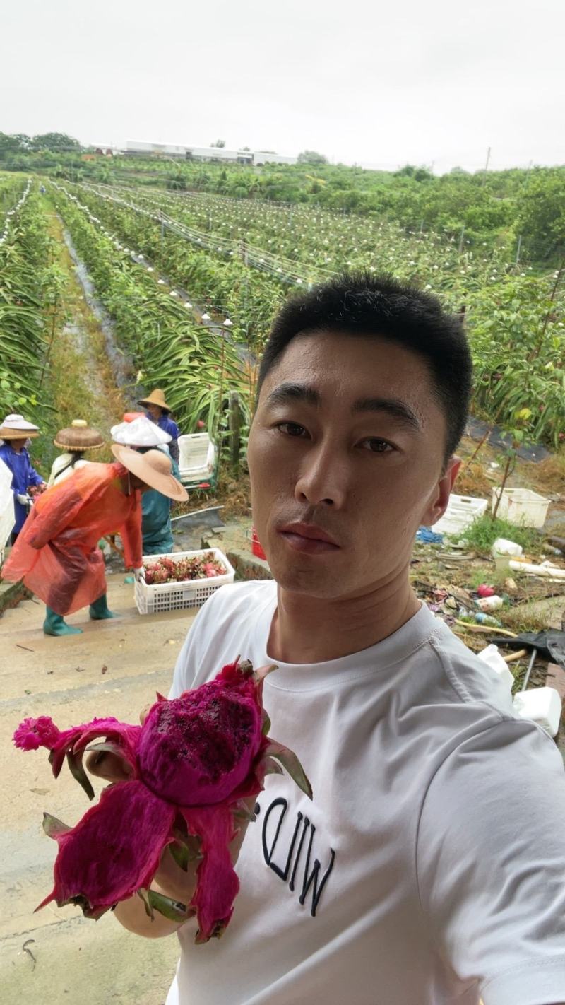 广西红心火龙果，基地直发，可一件代发，品质保证，量大从优
