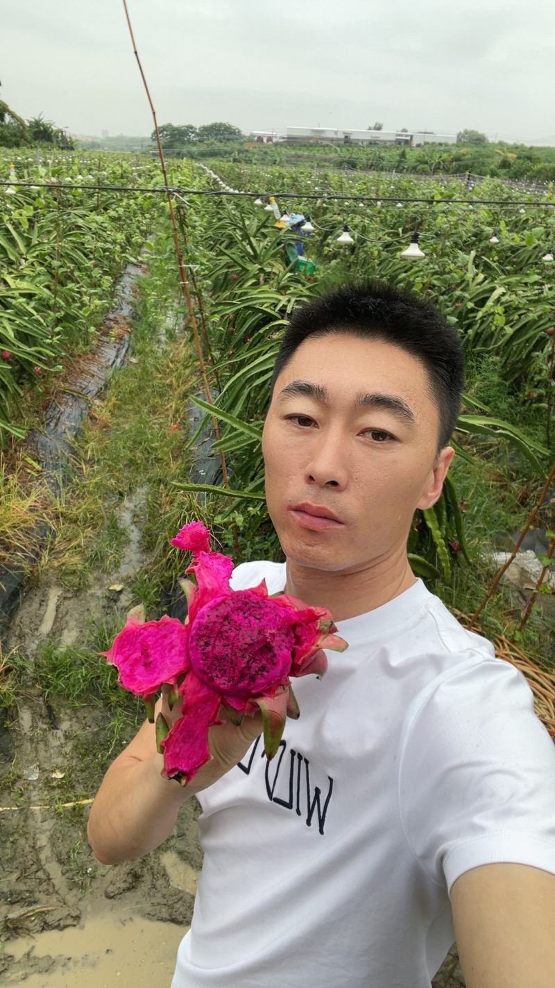 广西红心火龙果，基地直发，可一件代发，品质保证，量大从优