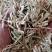 精品柔丝二次压块稻草，一手货源，全国发货