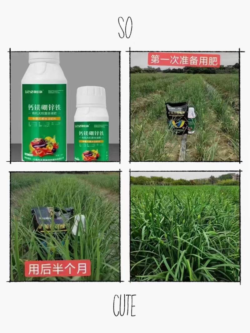 钙镁硼锌铁叶面肥厂家直发品质保证欢迎来电合作洽谈