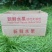 陕西大荔王母毛蟠桃鲜桃新鲜桃子毛桃应季水果整件发货ht