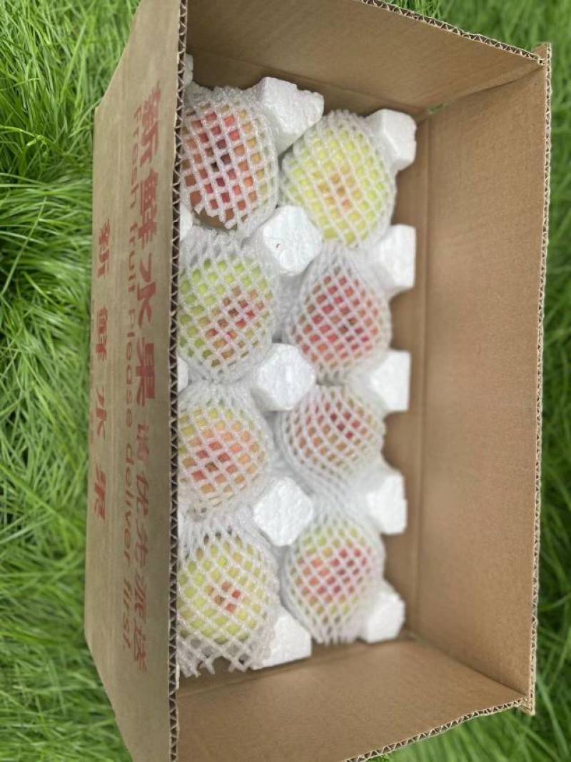 陕西大荔王母毛蟠桃鲜桃新鲜桃子毛桃应季水果整件发货ht