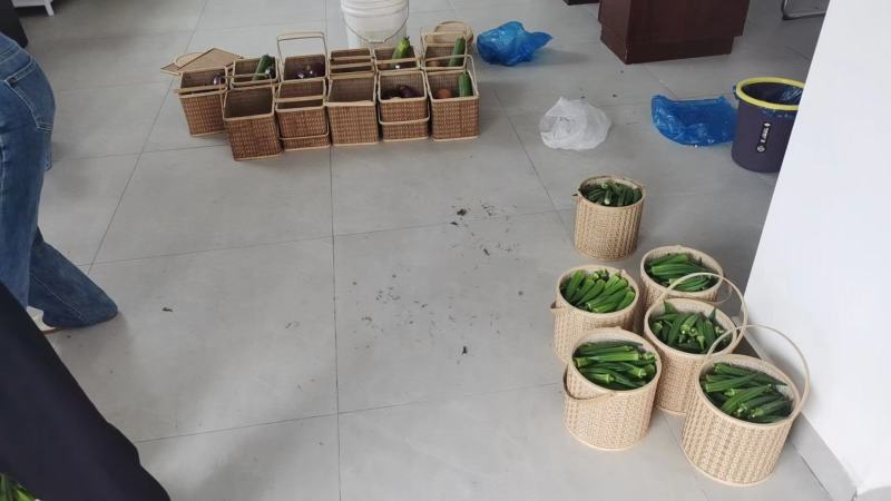 水果秋葵