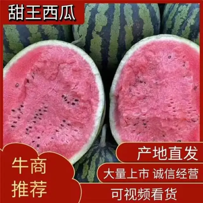 【实力商家】甜王西瓜河北甜王货源充足欢迎咨询