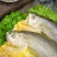 信月醇香宁德大黄鱼开背黄鱼鲞新鲜深海黄花鱼海鲜大黄鱼厂家