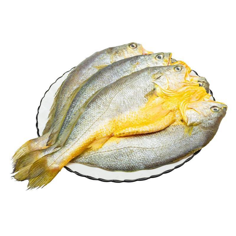 信月醇香宁德大黄鱼开背黄鱼鲞新鲜深海黄花鱼海鲜大黄鱼厂家