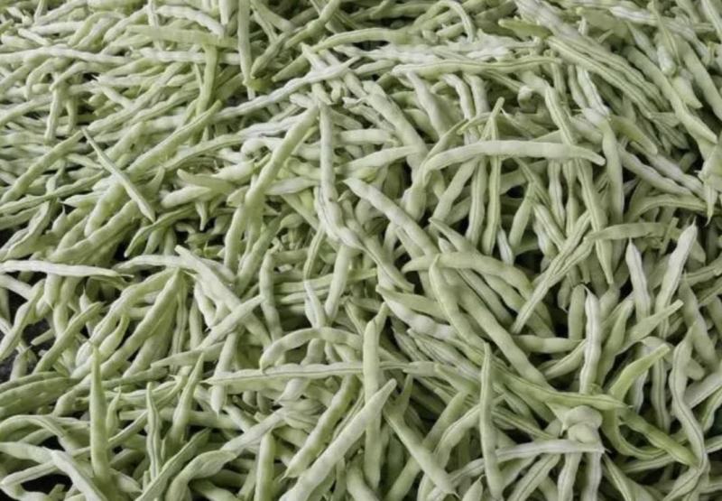 绥中精品白不老豆角产地直供量大从优全国发货供电商