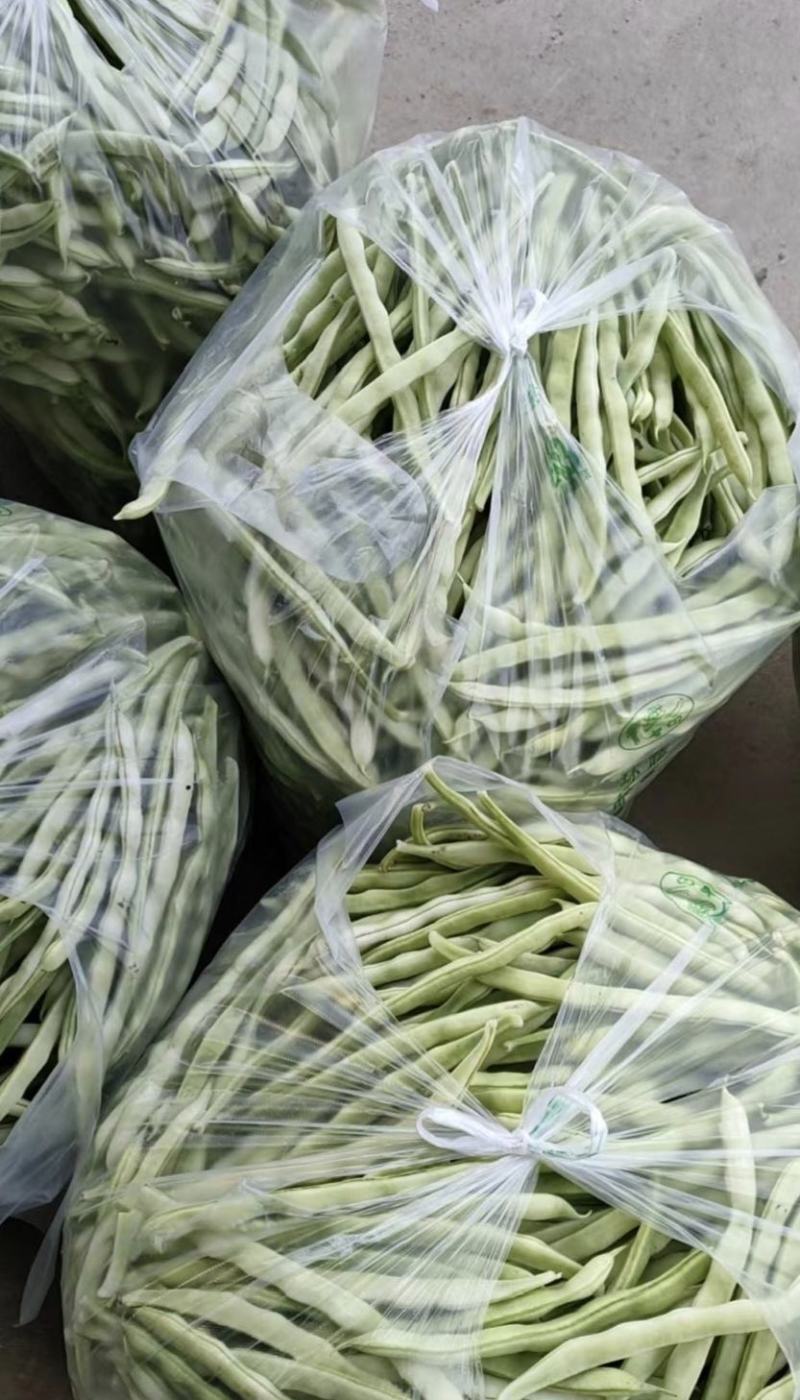绥中精品白不老豆角产地直供量大从优全国发货供电商