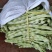 绥中精品架豆王豆角货源充足质量保证供全国电商批发商