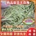 绥中精品架豆王豆角货源充足质量保证供全国电商批发商