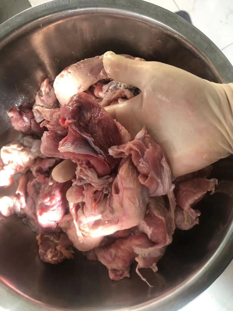牛肉筋筋头巴脑冻品全国发货，质量好价格低