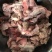 牛肉筋筋头巴脑冻品全国发货，质量好价格低