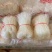 粉丝豌豆粉丝不糊汤不断节跑江湖展会地摊夜市粉丝货源