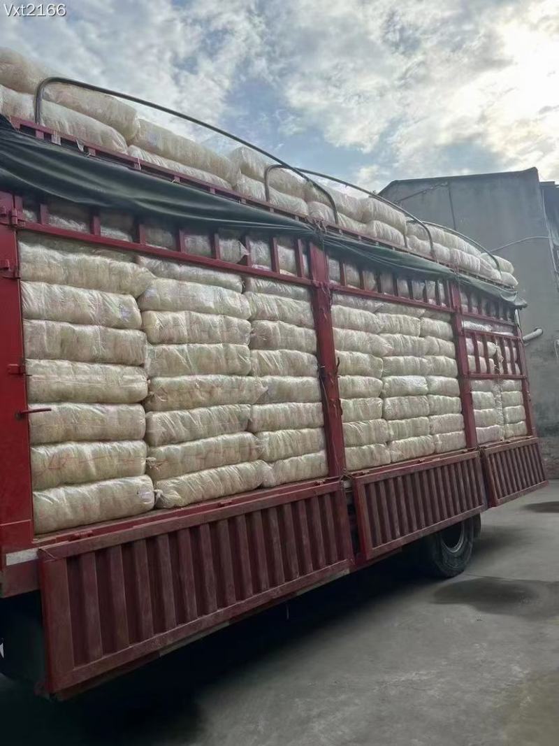 粉丝豌豆粉丝不糊汤不断节跑江湖展会地摊夜市粉丝货源