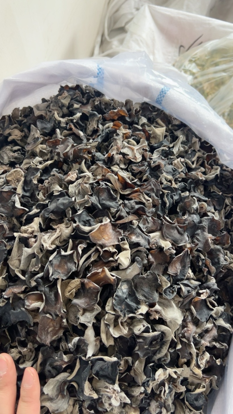 黄金片