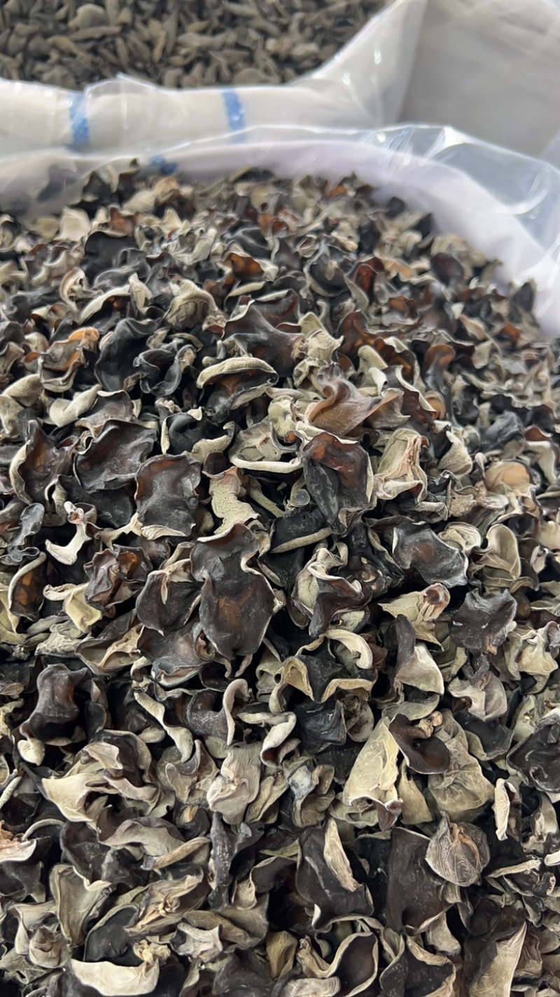 黄金片