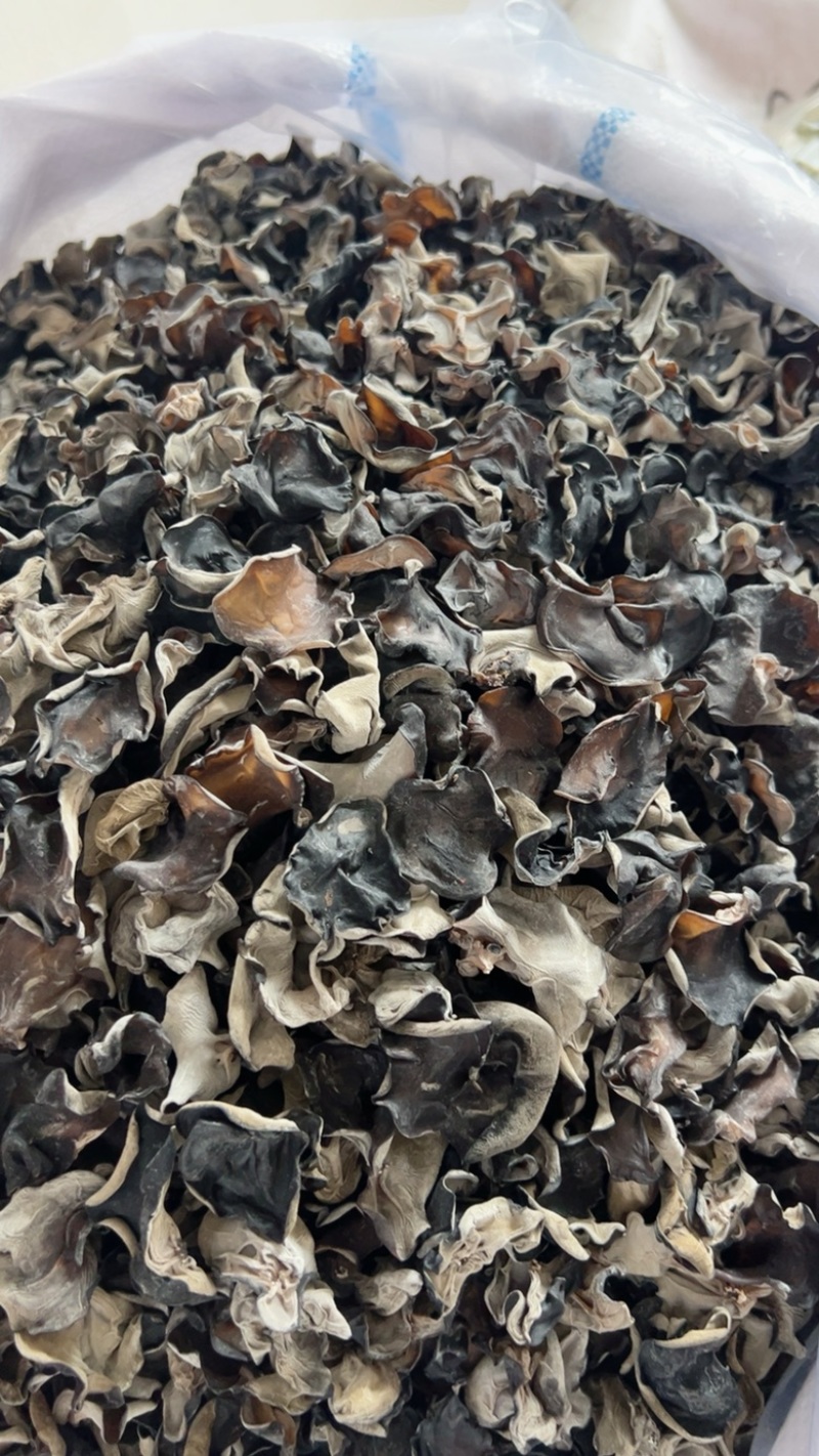 黄金片