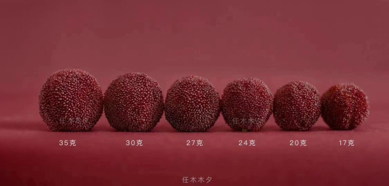 仙居东魁杨梅大批量上市口感纯正各种包装形式都有。