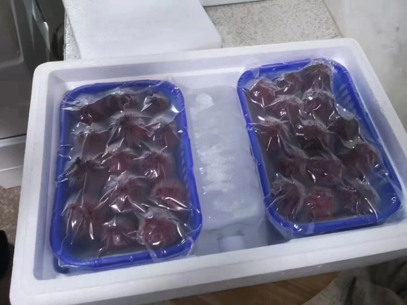 仙居东魁杨梅大批量上市口感纯正各种包装形式都有。