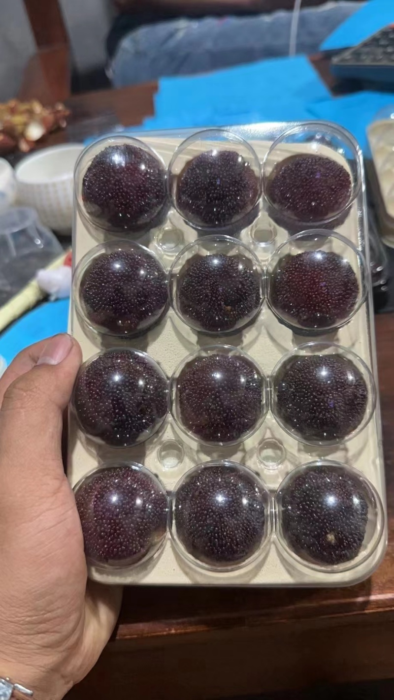 仙居东魁杨梅大批量上市口感纯正各种包装形式都有。