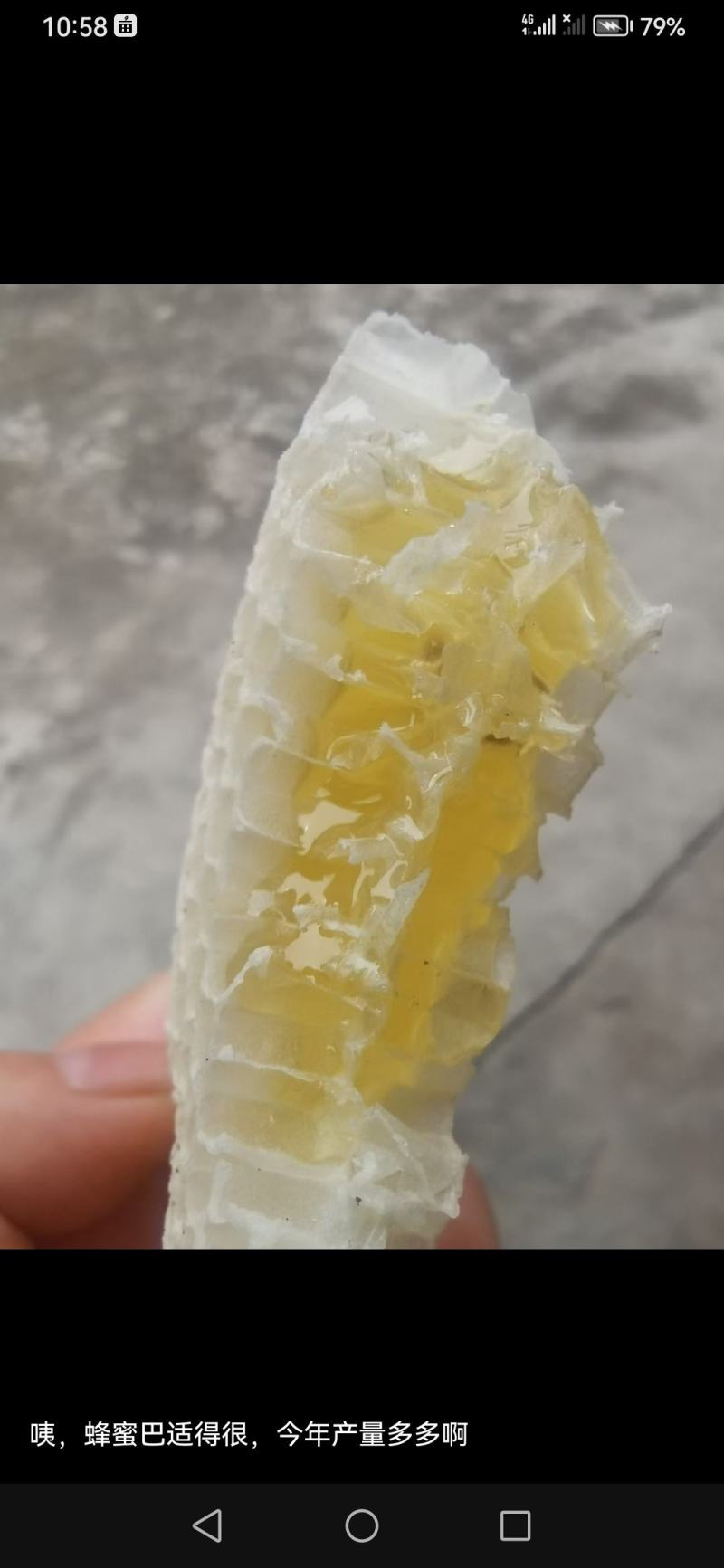 阿坝州高原百花蜂蜜品质好，欢迎采购