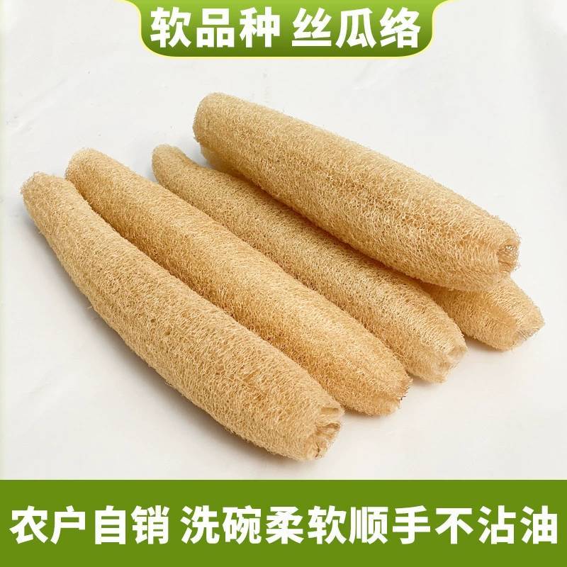 丝瓜络洗碗农家种植天然丝瓜络洗碗布搓澡巾20-50厘米丝