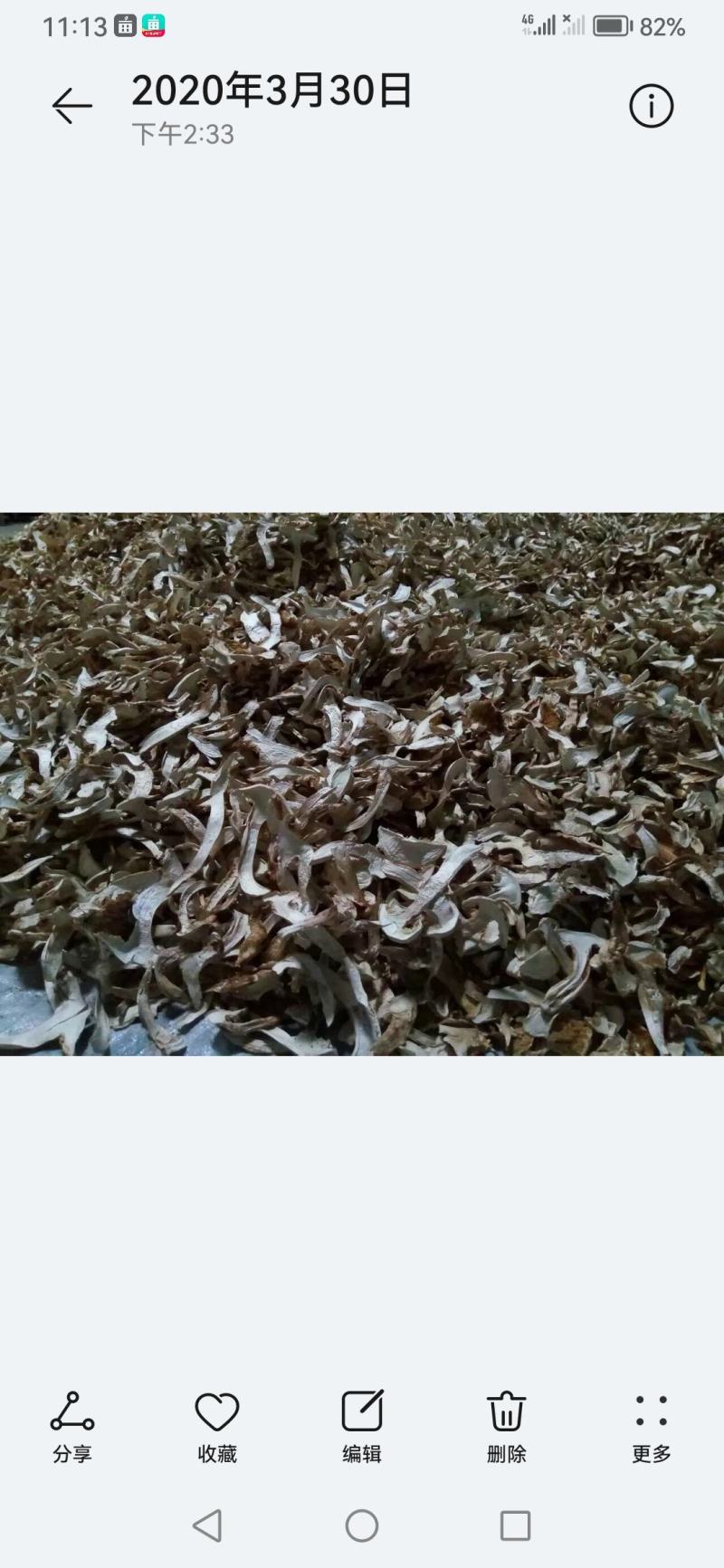 诚信经营阿坝州各类土特产野生菌松茸，野菜欢迎采购